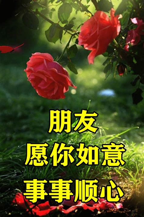 早康意思|早康：新時代問候語